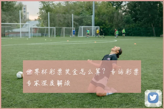 世界杯彩票奖金怎么算？专访彩票专家深度解读