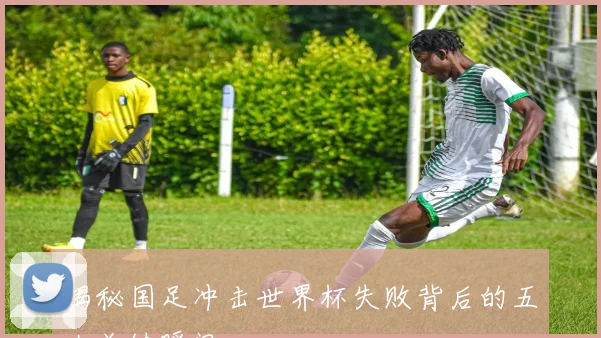 揭秘国足冲击世界杯失败背后的五大关键瞬间