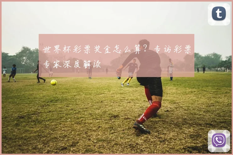 世界杯彩票奖金怎么算?专访彩票专家深度解读