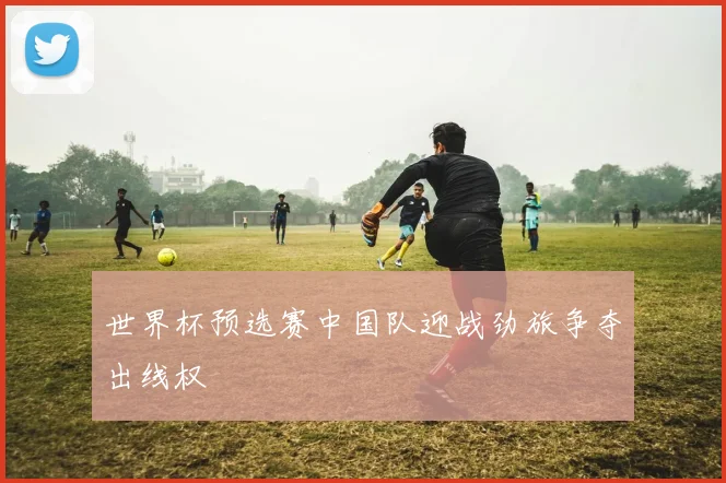 世界杯预选赛中国队迎战劲旅争夺出线权