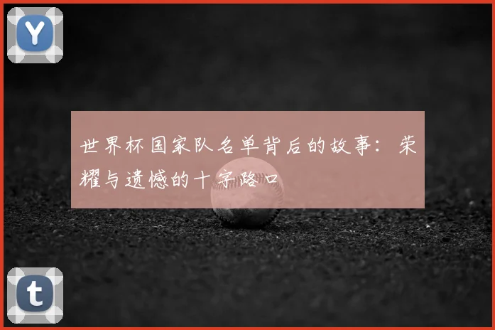 世界杯国家队名单背后的故事:荣耀与遗憾的十字路口