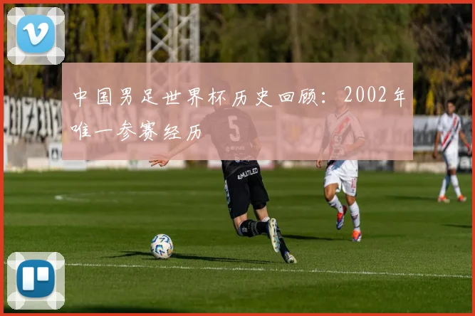 中国男足世界杯历史回顾：2002年唯一参赛经历
