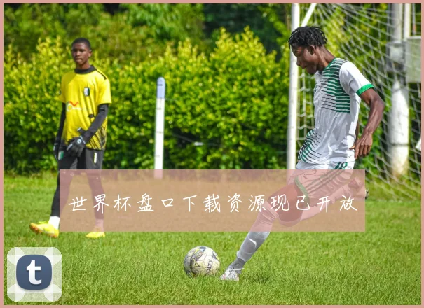 世界杯盘口下载资源现已开放