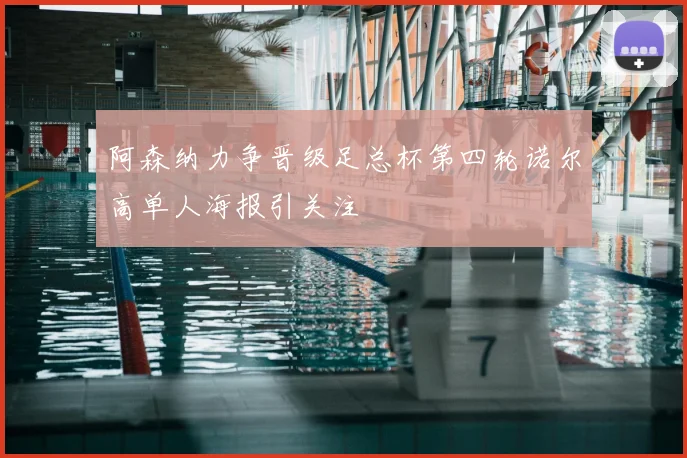 阿森纳力争晋级足总杯第四轮诺尔高单人海报引关注