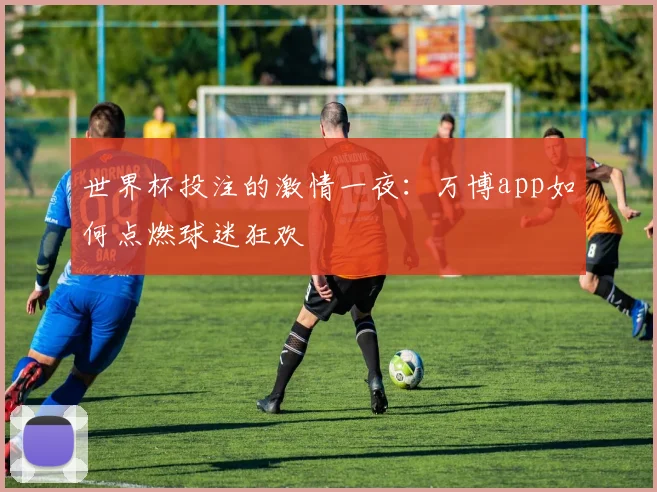 世界杯投注的激情一夜：万博app如何点燃球迷狂欢