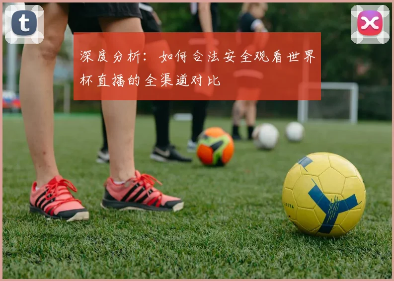 深度分析：如何合法安全观看世界杯直播的全渠道对比